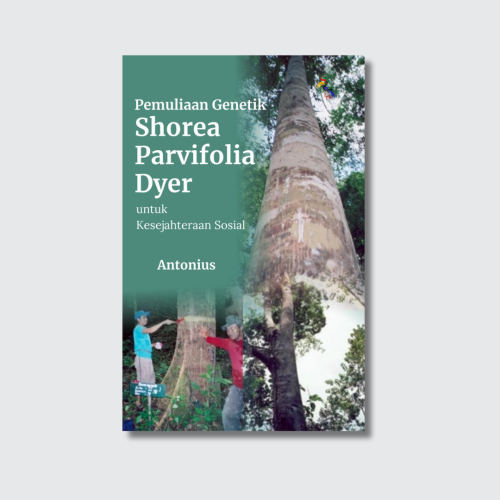 Cover Produk LLD - Pemuliaan Genetik Shorea Pemuliaan Genetik Shorea Parvifolia Dyer untuk Kesejahteraan Sosial